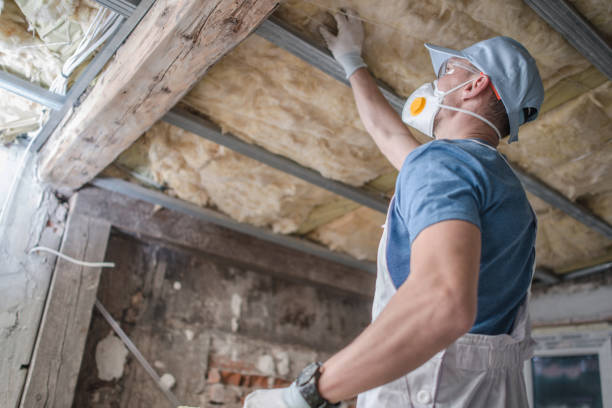 Best Insulation Contractors for Homes  in Aledo, IL