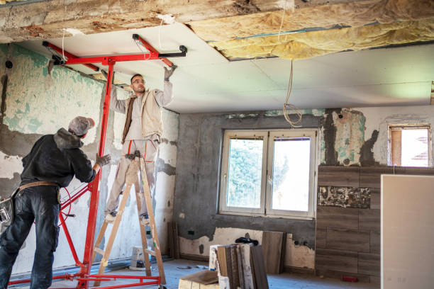 Best Commercial Insulation Contractor  in Aledo, IL