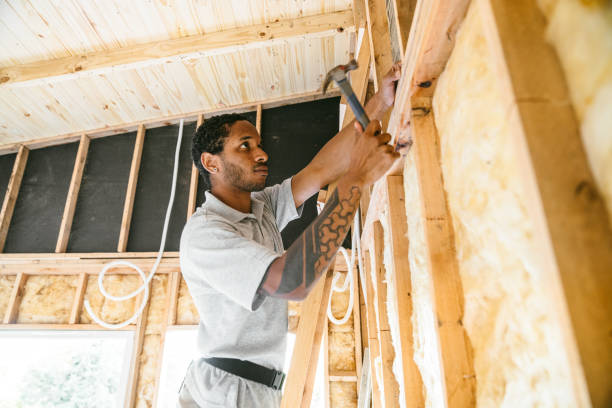 Best Garage Insulation Installation  in Aledo, IL